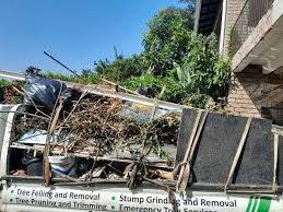 Best Carpet Removal and Disposal  in Sterling, AK