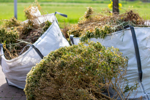 Demolition Debris Removal in Sterling, AK