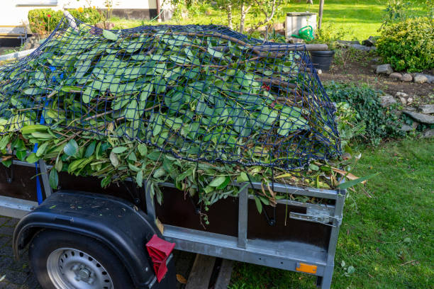 Best Mattress Disposal  in Sterling, AK
